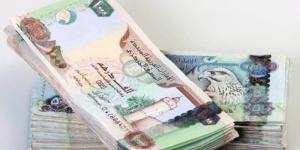 سعر الدرهم الإماراتي مقابل الجنيه اليوم الجمعة 4 يوليو 2025 وفقا لآخر تحديث - بلس 48