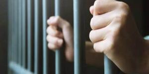 جريمة سائق توكتوك بالبحيرة تنتهى به خلف القضبان.. المتهم يعترف والنيابة تجدد حبسه 15يومًا - بلس 48