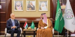 السعودية والمجر تبحثان تعزيز التعاون العسكري بين البلدين - بلس 48