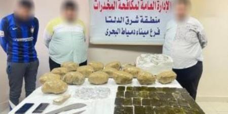 ضبط عددا من جالبي المواد المخدرة بحوزتهم كميات قدرت بنحو 7 ملايين جنيه بغرض الإتجار - بلس 48