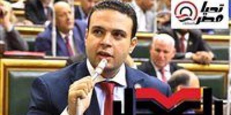 خاص لـ تحيا مصر: حزب العدل يحصل على ٤ مقاعد في القائمة الوطنية للشيوخ - بلس 48
