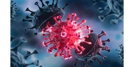 ظهر في 22 دولة.. عوض تاج الدين يُعلن مفاجأة بشأن متحور كورونا الجديد |فيديو - بلس 48