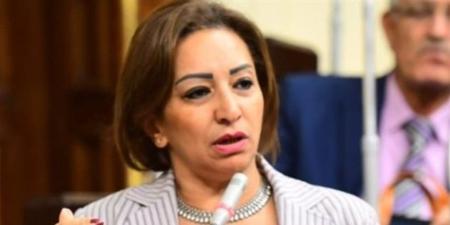 مها عبدالناصر: ميثاق شرف لضبط الإنفاق الانتخابي في انتخابات الشيوخ - بلس 48