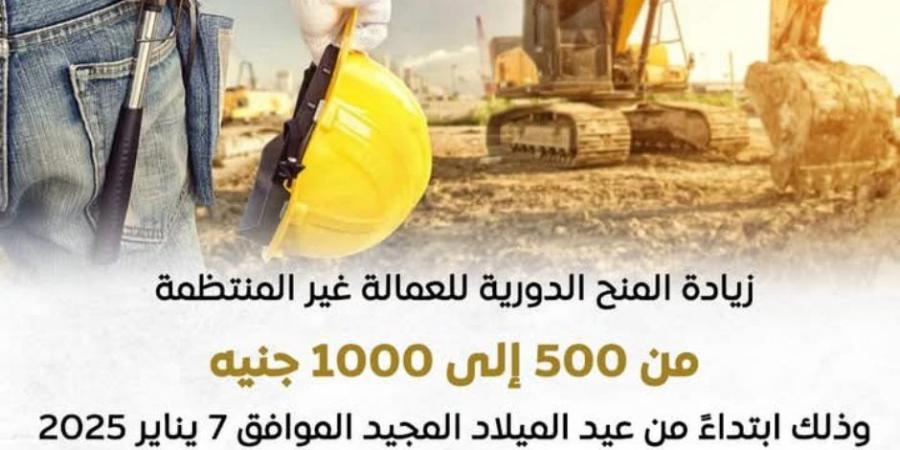 1000 جنيه بدلا من 500 للعلاوة الدورية.. وزير العمل يوجه بسرعة إنهاء رقمنة برنامج العمالة غير المنتظمة تمهيدا لإطلاقه على بوابة مصر الرقمية - بلس 48