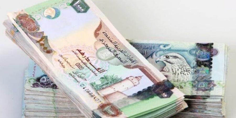 سعر الدرهم الإماراتي اليوم الخميس 10 يوليو 2025 في بنك مصر والبنك الأهلي - بلس 48