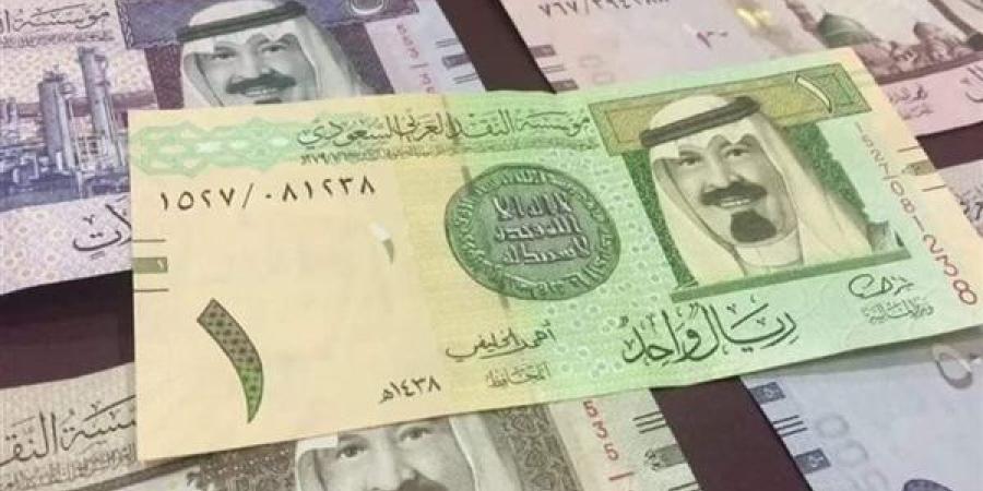 الريال السعودى يسجل 13.14 فى البنك الاهلى منتصف تعاملات اليوم - بلس 48
