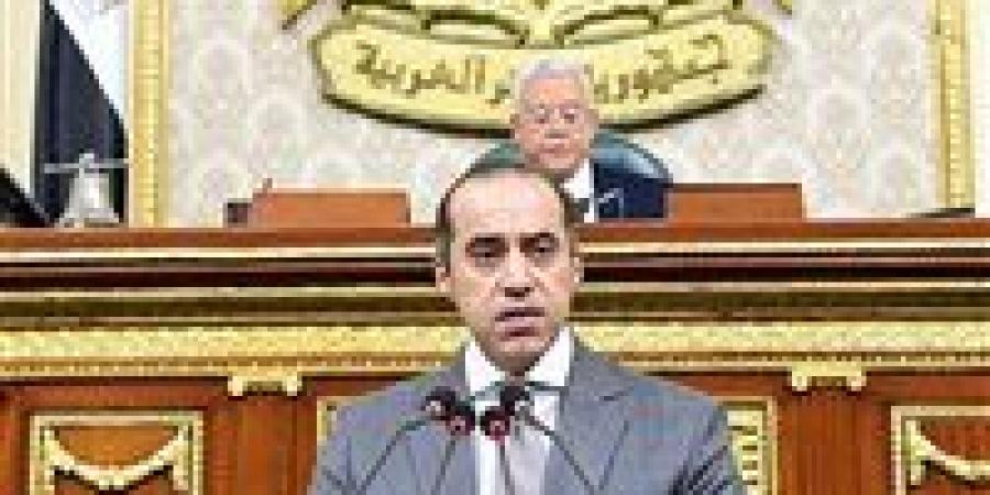 الوزير محمود فوزي.. منقذ الحكومة في لحظات الاختبار النيابي الصعبة - بلس 48