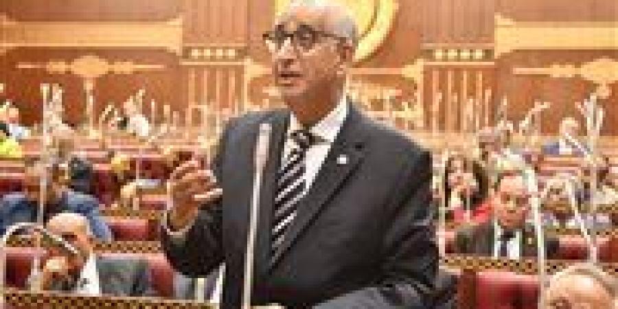 حسانين توفيق: مبادرة "كن مستعدًا" خطوة جادة لربط التعليم بسوق العمل وتقليل البطالة - بلس 48