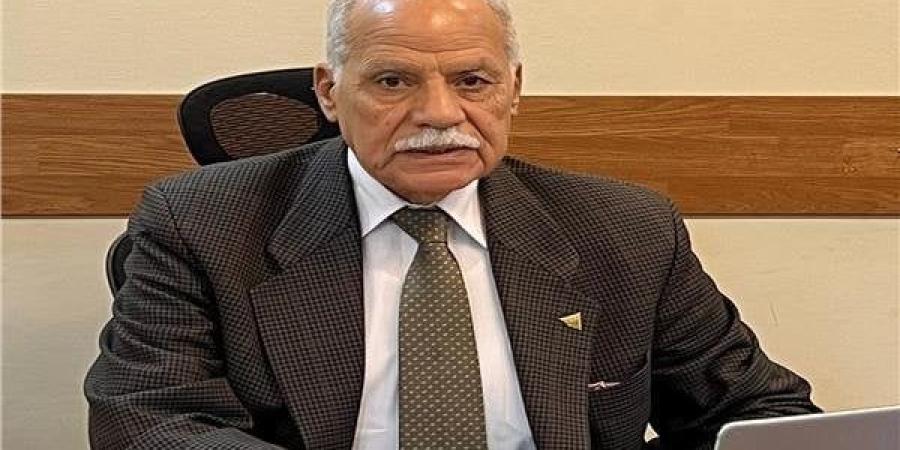 الحزب العربي الناصري: نرفض الدعوات الهدامة.. ومصر صامدة بوعي شعبها وجيشها وشرطتها - بلس 48
