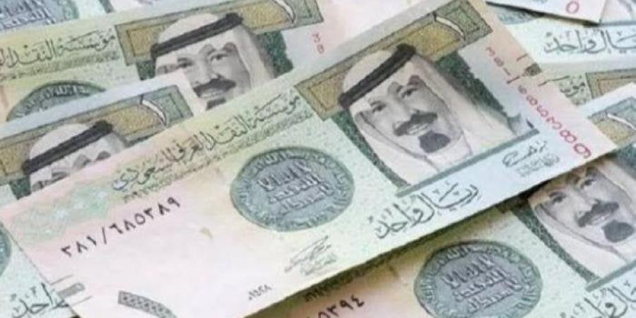 سعر الريال السعودي اليوم الإثنين.. بكام في بنك مصر؟ - بلس 48
