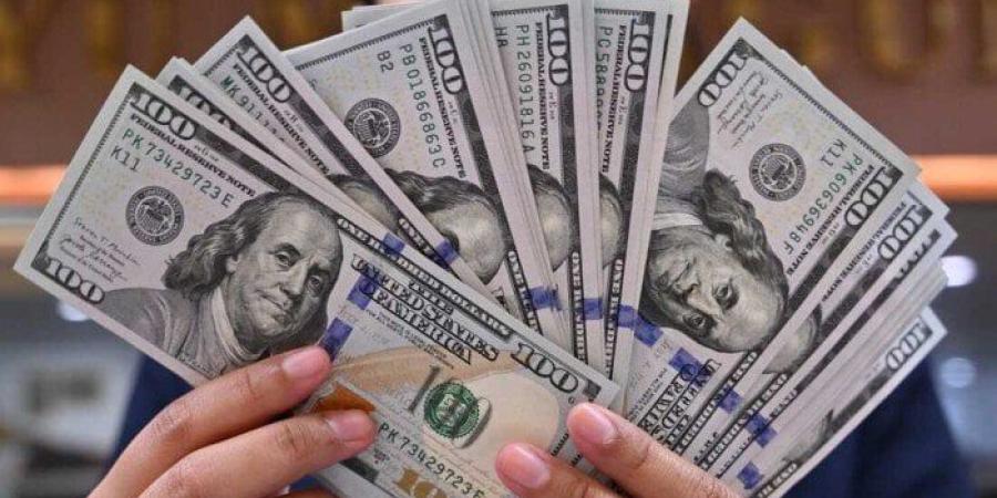 سعر الدولار مقابل الجنيه في منتصف تعاملات اليوم الإثنين 14 يوليو 2025 - بلس 48