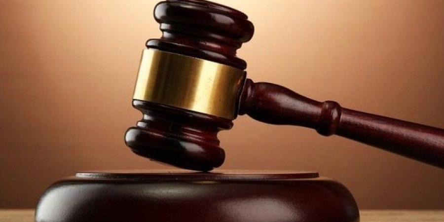 اليوم.. استكمال محاكمة 10 متهمين في قضية «خلية لجان العمل النوعي» - بلس 48